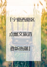 宁夏西夏区 点燃文旅消费新热潮